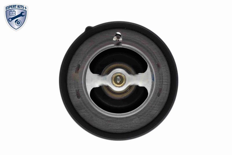ACKOJA A52-99-0019 Thermostat, coolant