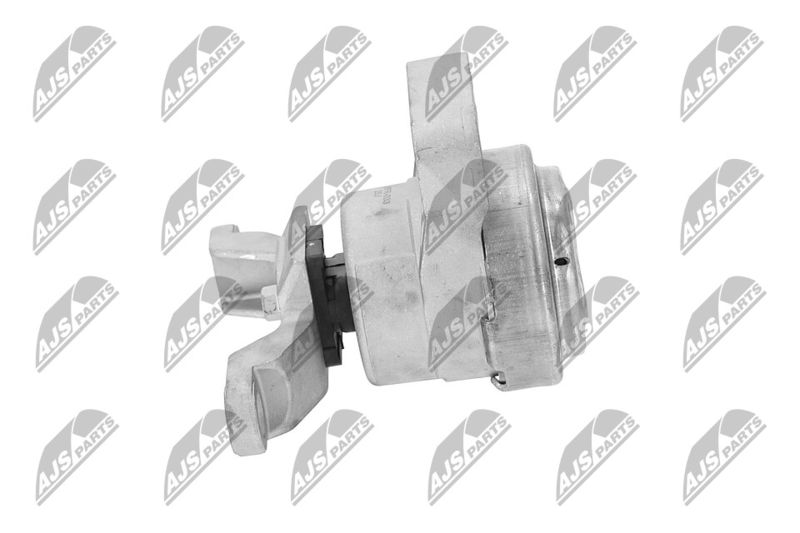 Paigutus, Mootor, NTY ZPS-FR-033