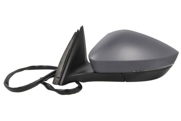 BLIC 5402-43-1319312P Exterior Mirror