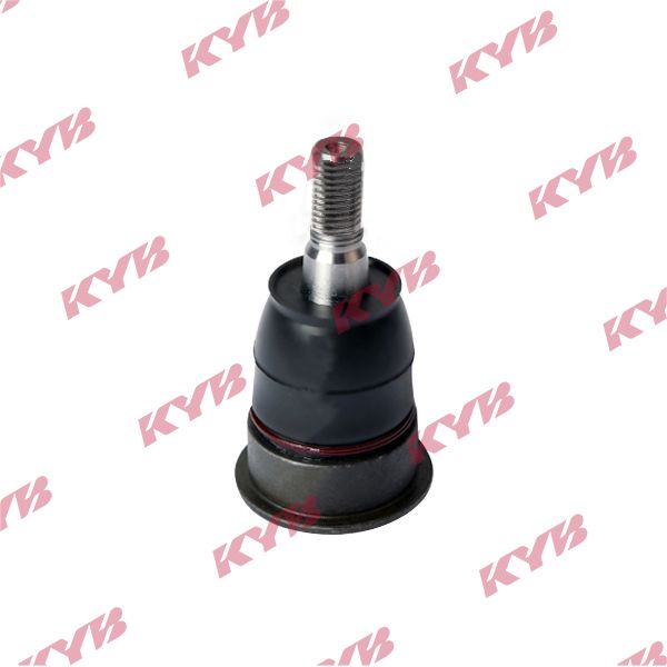 KYB-KBJ4317.JPG