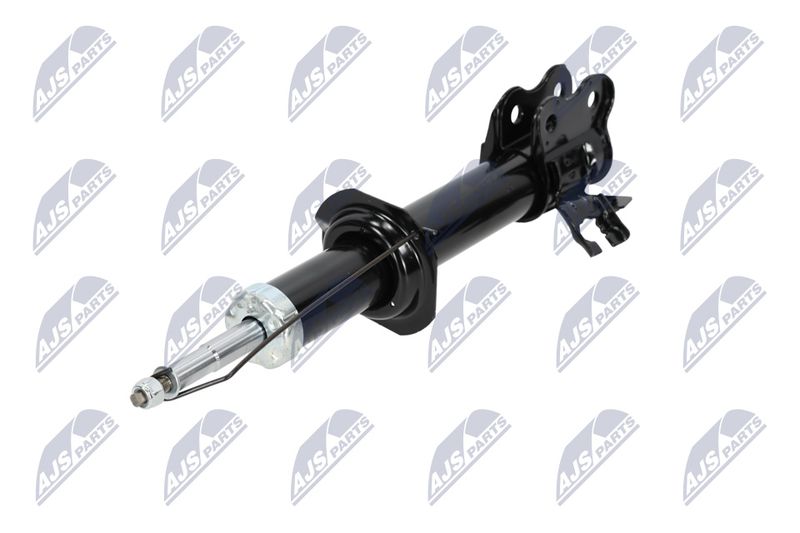 Amort, NTY A-NS-008