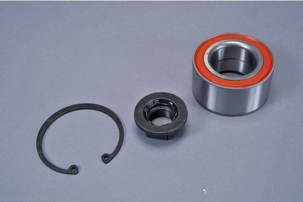 AUTOMEGA 110008310 Wheel Bearing Kit