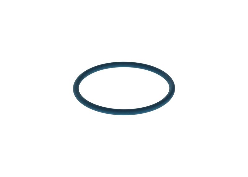 Inel cauciuc F 00N 204 108 BOSCH