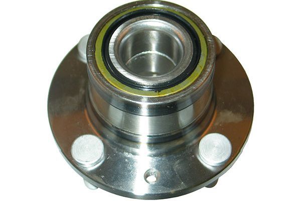 Kavo Parts Rato guolio komplektas