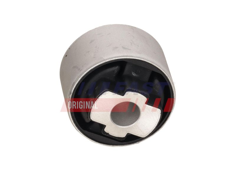 Puks, FAST FT18384