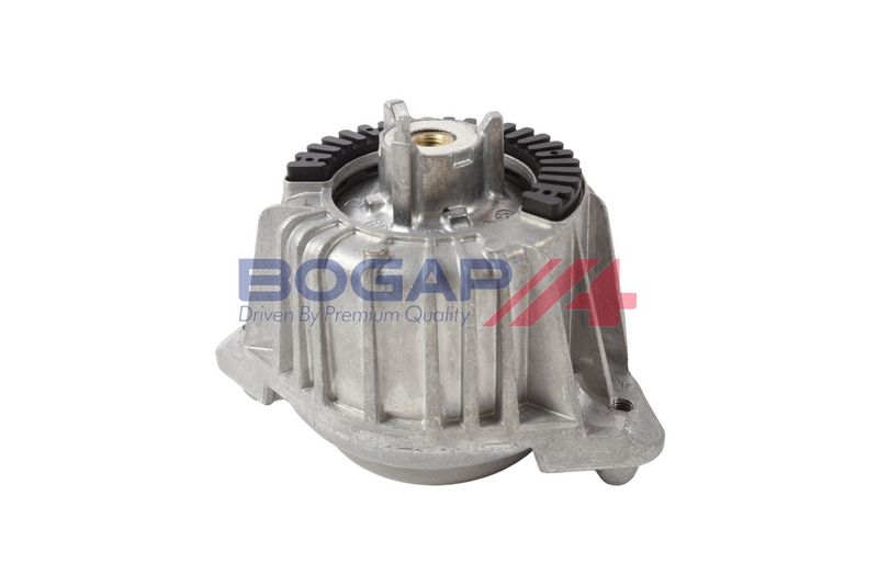 BOGAP Variklio montavimas