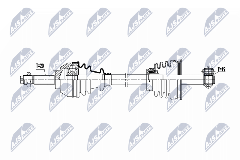 NPW-FT-107_9-WM.PNG