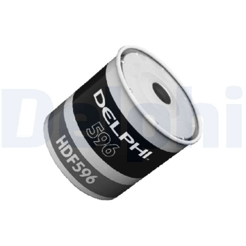 HDF596.JPG