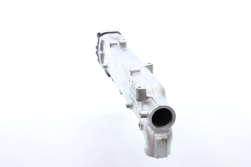 REMANTE 010-001-000003R EGR Module