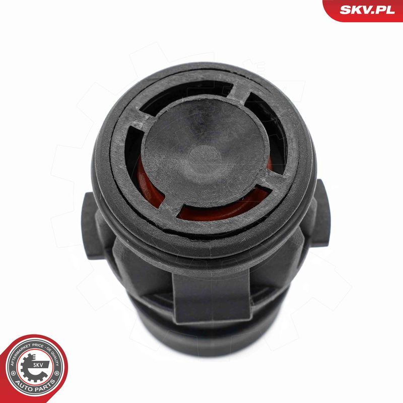 ESEN SKV 18SKV810 Repair Set, vacuum pump (braking system)