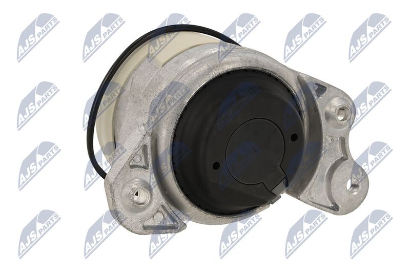 Paigutus, Mootor, NTY ZPS-ME-021