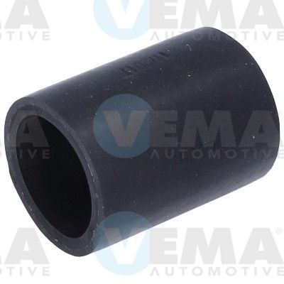 VE55882.JPG