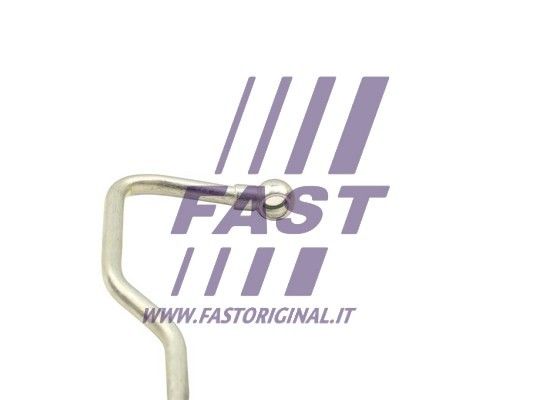 FT53272_3_1.JPG
