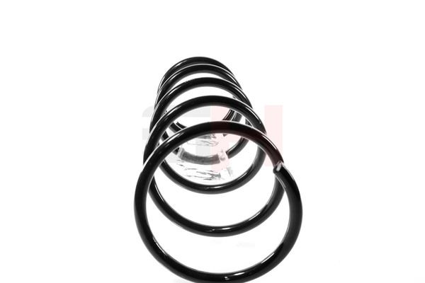 GH GH-205242 Suspension Spring