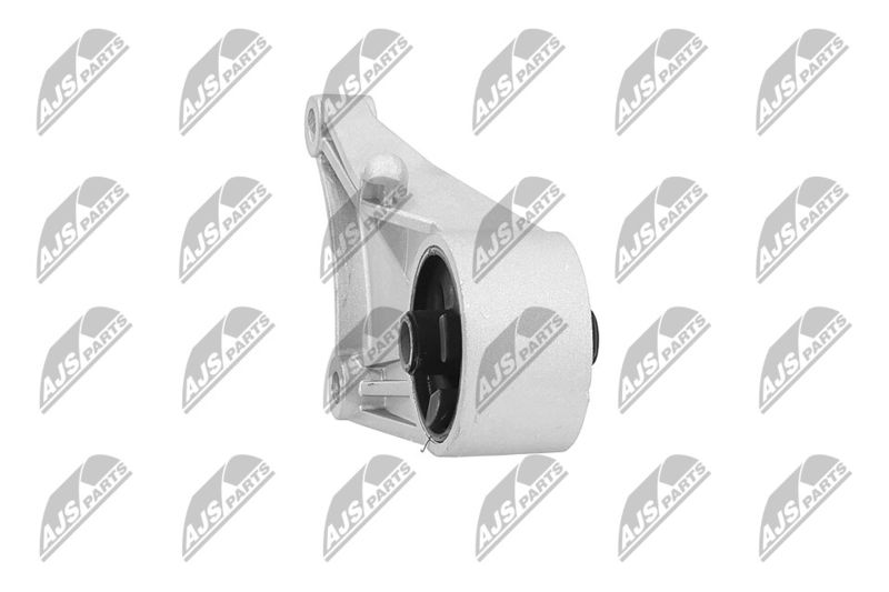 Paigutus, Mootor, NTY ZPS-PL-012