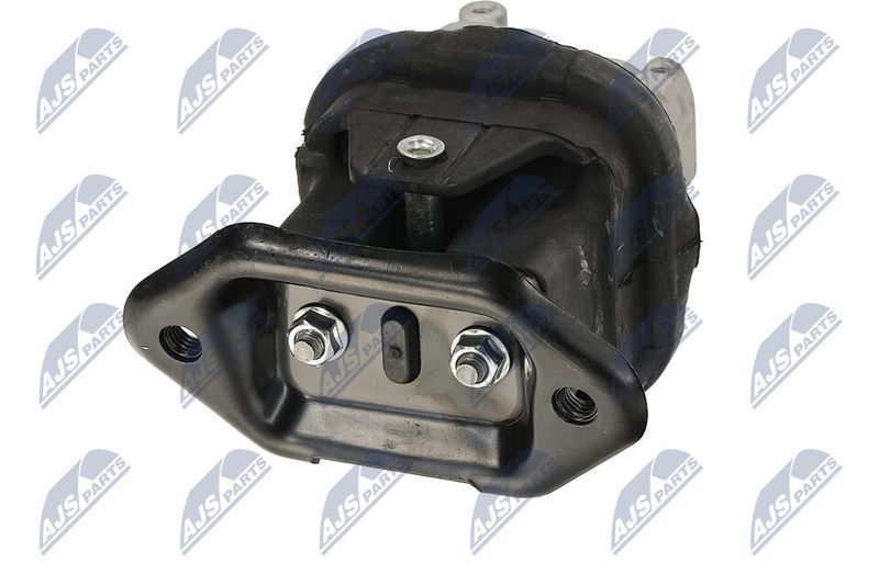 Paigutus, Mootor, NTY ZPS-CH-116