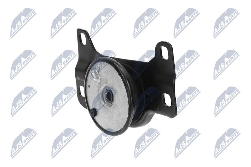 Paigutus, Mootor, NTY ZPS-FR-052