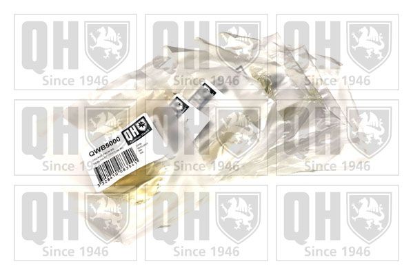 QH_QWB5020.JPG