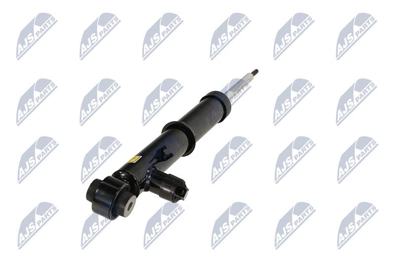 Amort, NTY A-LR-035