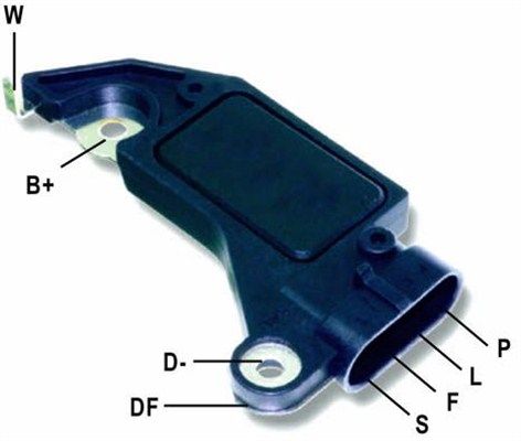 DDF_AMP0710_WR.JPG