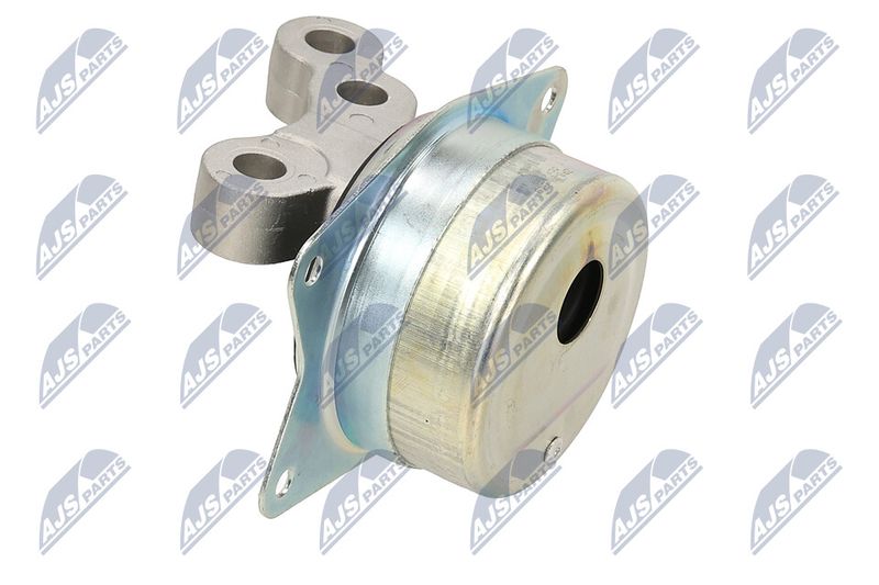 Paigutus, Mootor, NTY ZPS-PL-049
