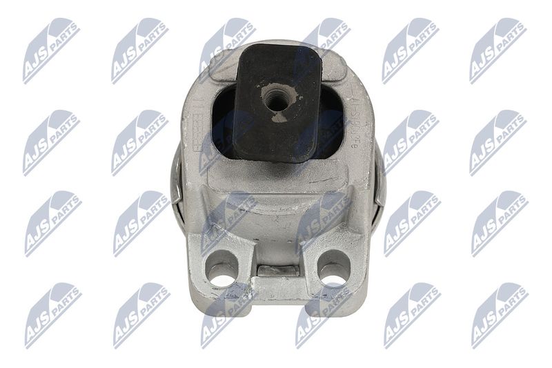 Paigutus, Mootor, NTY ZPS-FR-017