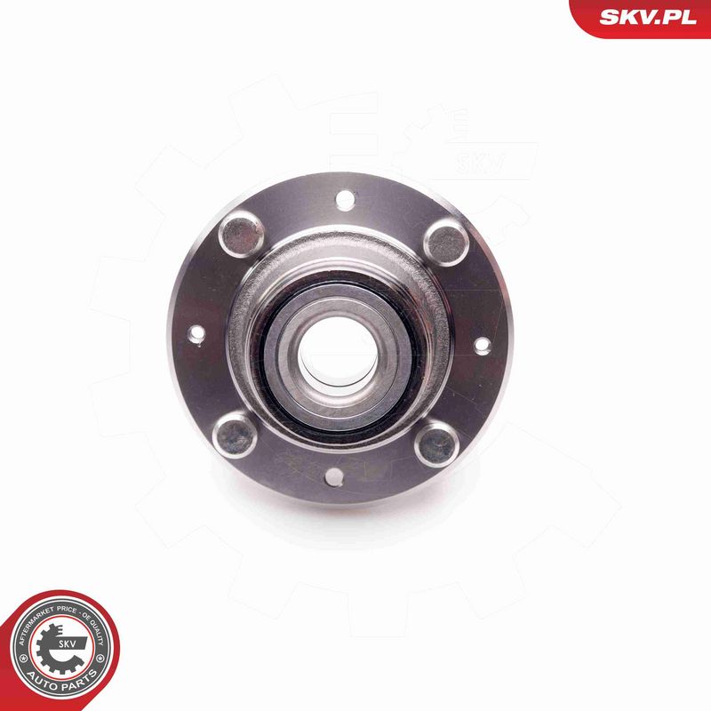 ESEN SKV 29SKV026 Wheel Bearing Kit