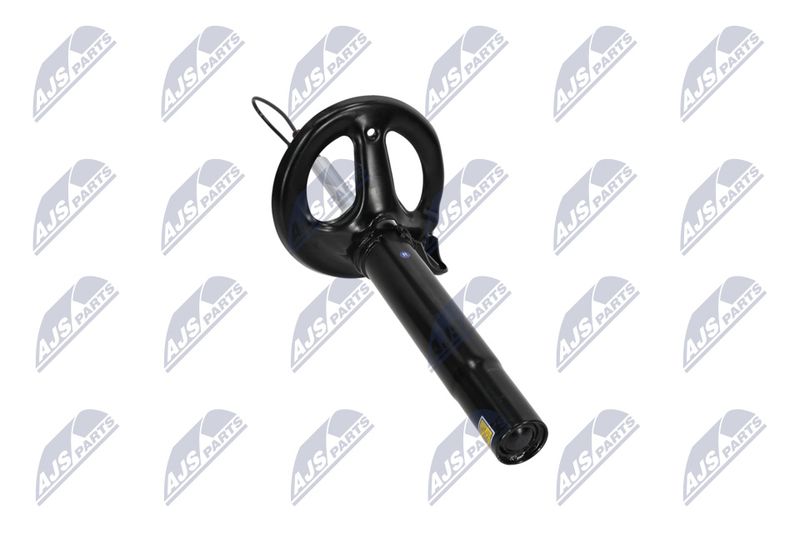 Amort, NTY A-PS-012