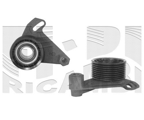 CALIBER 06465 - Tensioner Pulley, timing belt