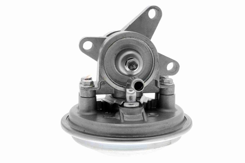 VAICO V25-1908 Mounting, engine