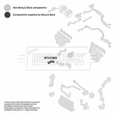 Шланг подачі наддувального повітря, Borg & Beck BTH1389