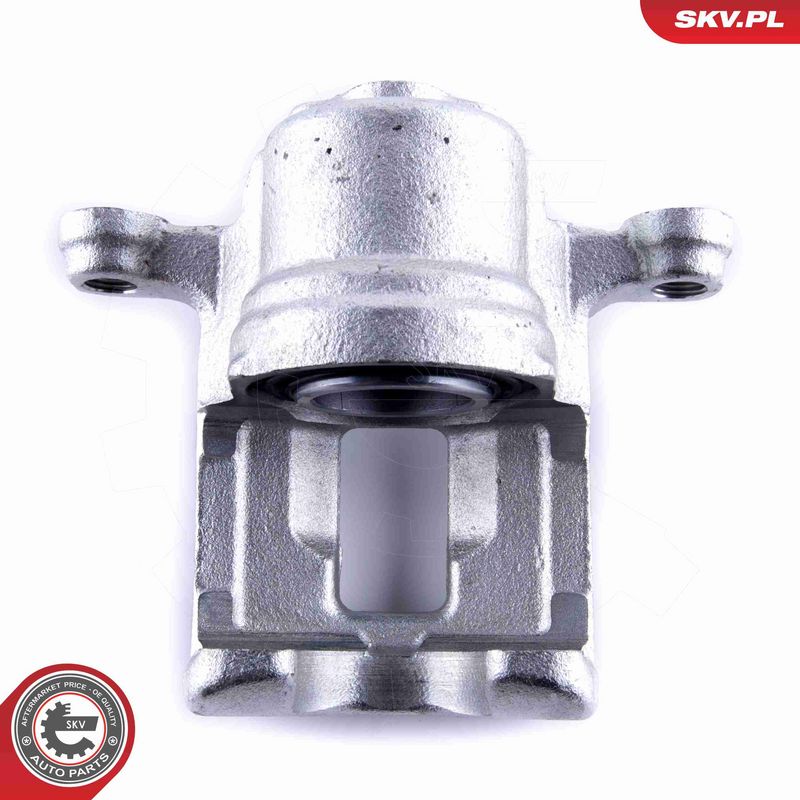 ESEN SKV 55SKV024 Brake Caliper