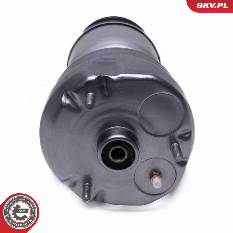 ESEN SKV 58SKV079 Air Suspension Strut