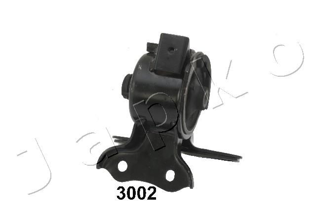 GOJ3002_1.JPG