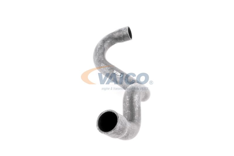 VAICO V30-1578 Radiator Hose