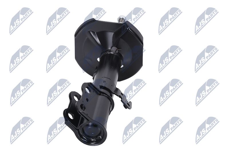 Amort, NTY A-TY-096