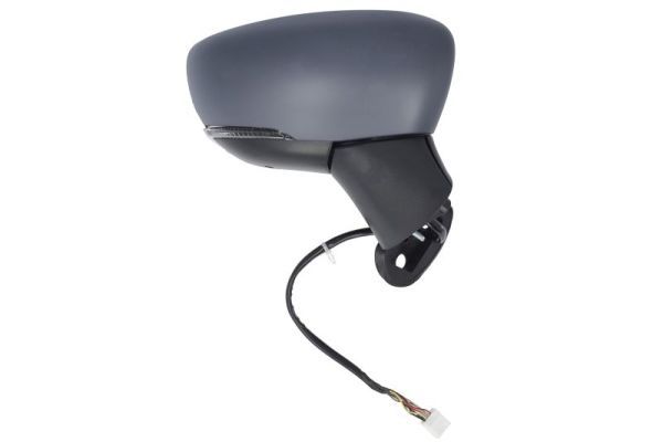 BLIC 5402-16-2104319P Exterior Mirror