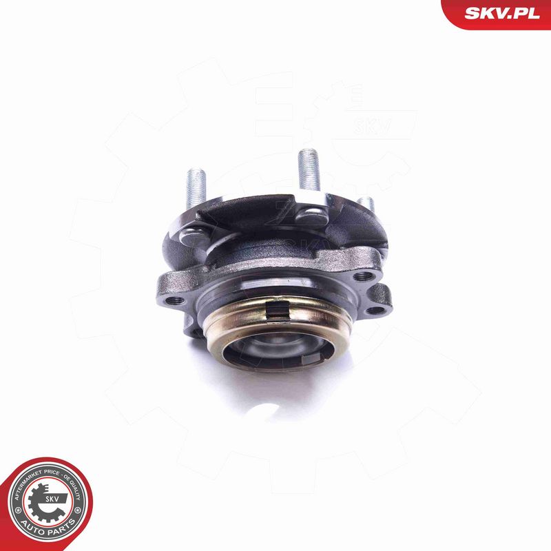 ESEN SKV 29SKV233 Wheel Bearing Kit