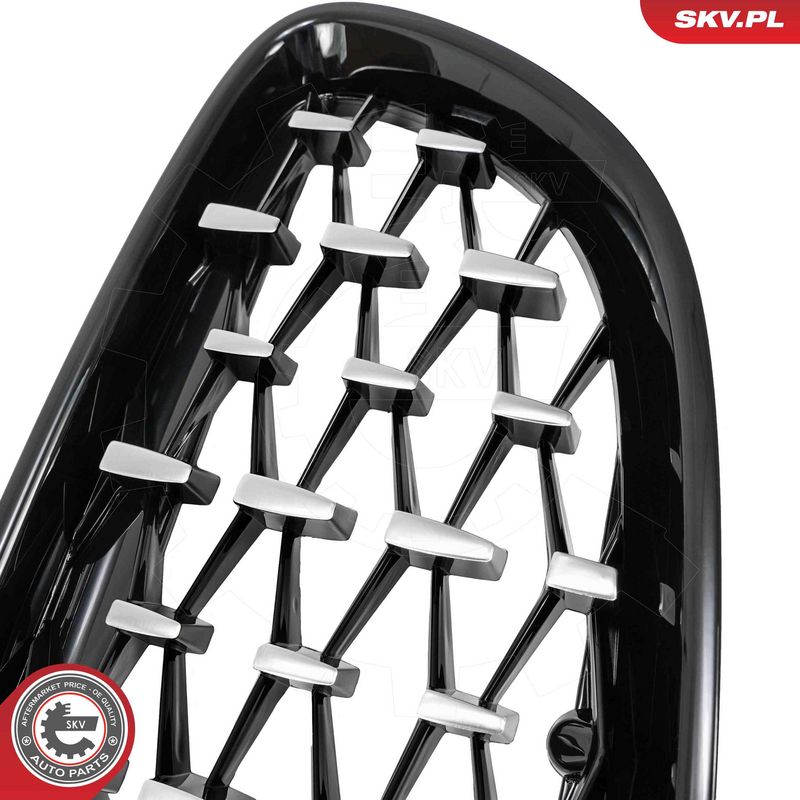 Radiaatorivõre, ESEN SKV 66SKV313