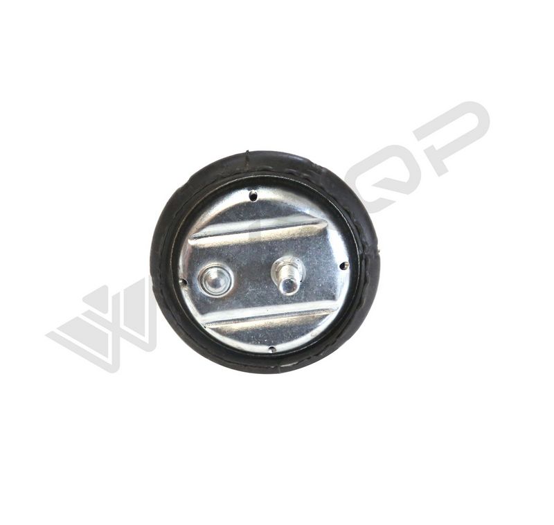 WXQP 211749 Engine Mount