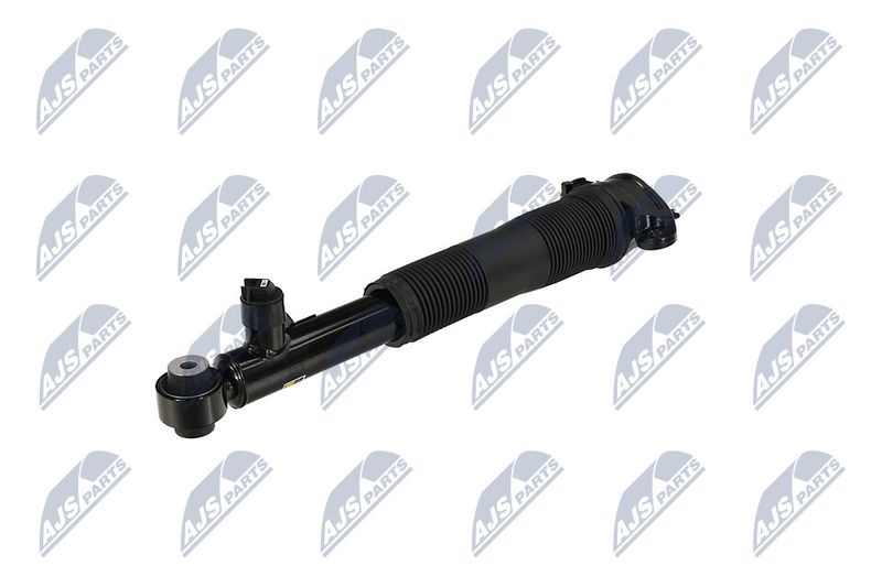 Amort, NTY A-LR-037
