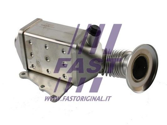 FT60416_1_1.JPG