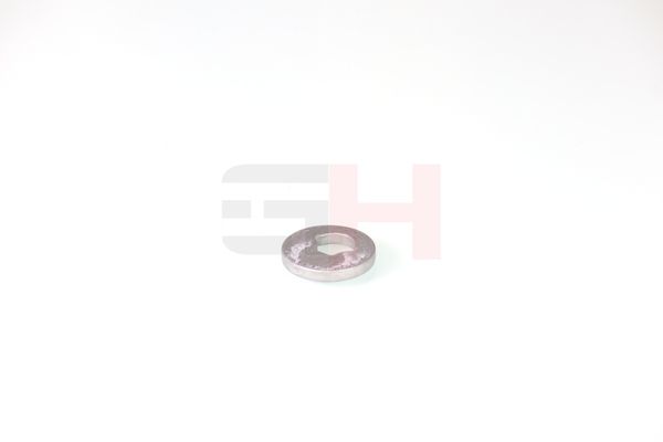 caster shim, sillatala, GH GH-391582