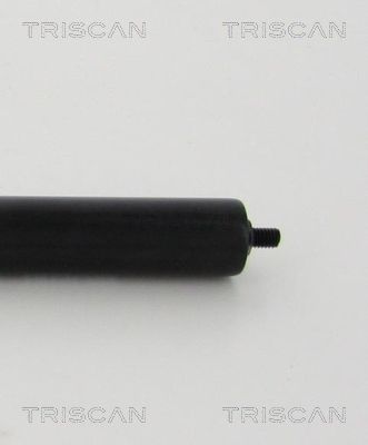 TRIS87101022551900_2.JPG