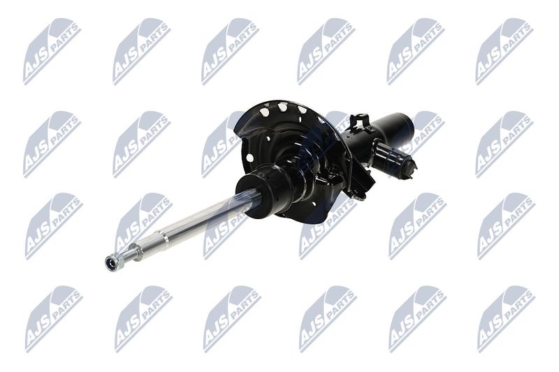 Amort, NTY A-LR-032