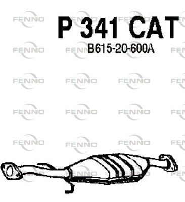P341CAT.JPG