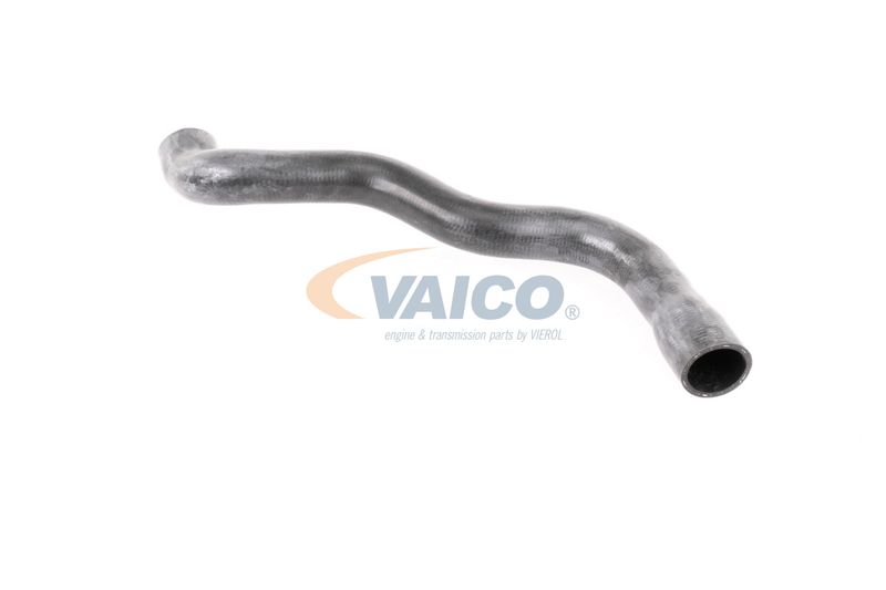 VAICO V30-2915 Radiator Hose