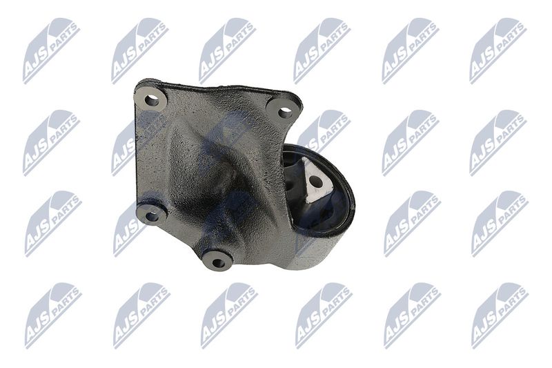 Paigutus, Mootor, NTY ZPS-CH-004