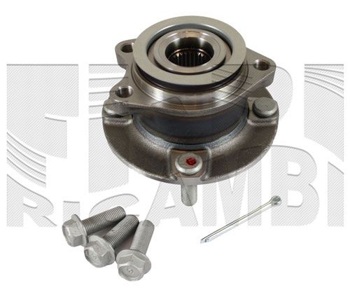 RK3303.JPG