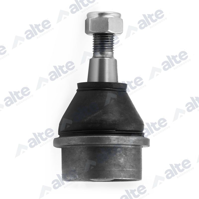 ALTE AUTOMOTIVE 88393AL Šarnyras / girgždukas